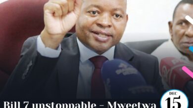 Bill 7 - Zambian Constitution