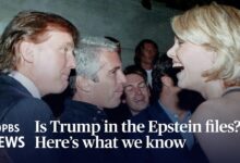 Jeffrey Epstein Crimes Timeline & Epstein Files Explained